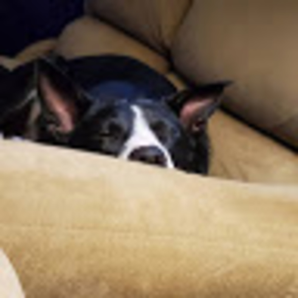 Meet your Posher, Makenzie a